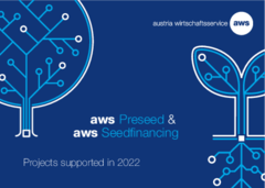 In this pdf file, you will find an overview of projects and companies funded through the aws Preseed and Seedfinancing programs in 2022