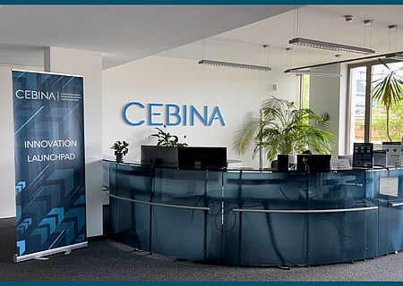 Cebina